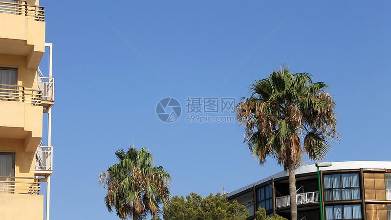 周末带娃出游，行程越细越从容